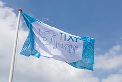 vlag fixi